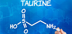 Taurine improves ED in experimental research