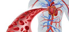 Meta-analysis finds metformin superior to sulfonylurea drugs at lowering cardiovascular mortality among diabetics