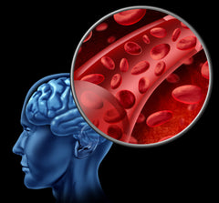 Can Young Blood Treat Alzheimer’s Disease?