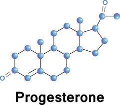 Bioidentical Hormones 101: Progesterone